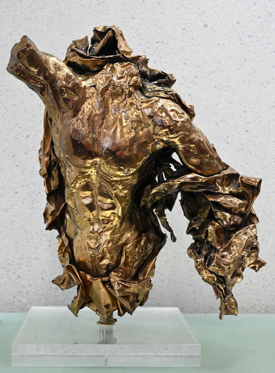 Torso