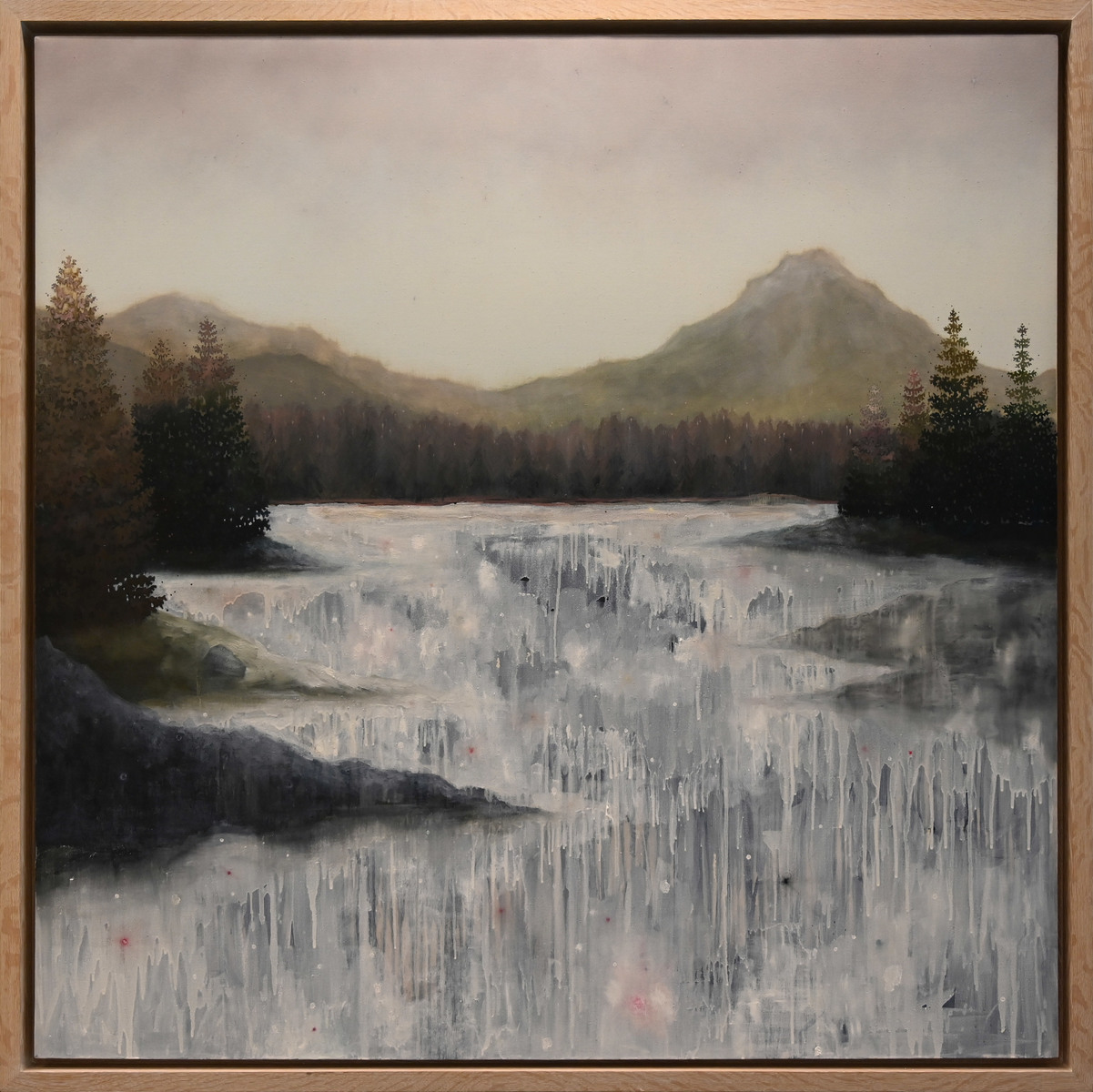 Pine Forrest River